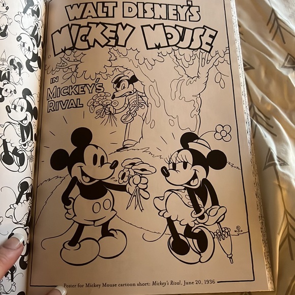 Disney Mickey and Minnie Mouse adult coloring book - Picture 2 of 4